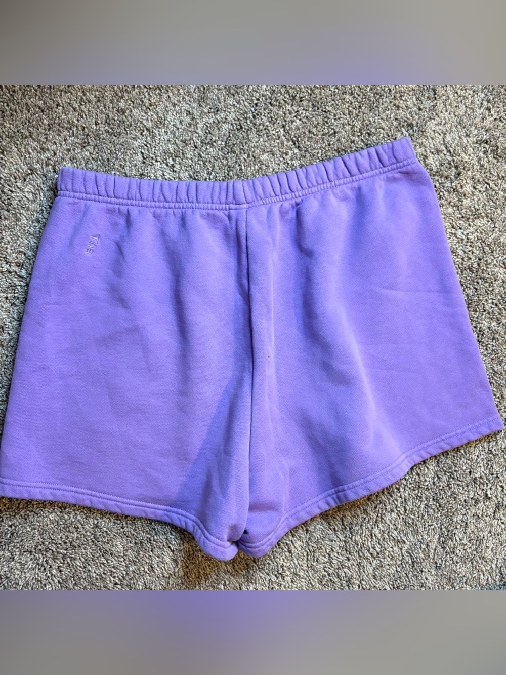 Aritiza TNA cozy fleece shorts Purple Size L